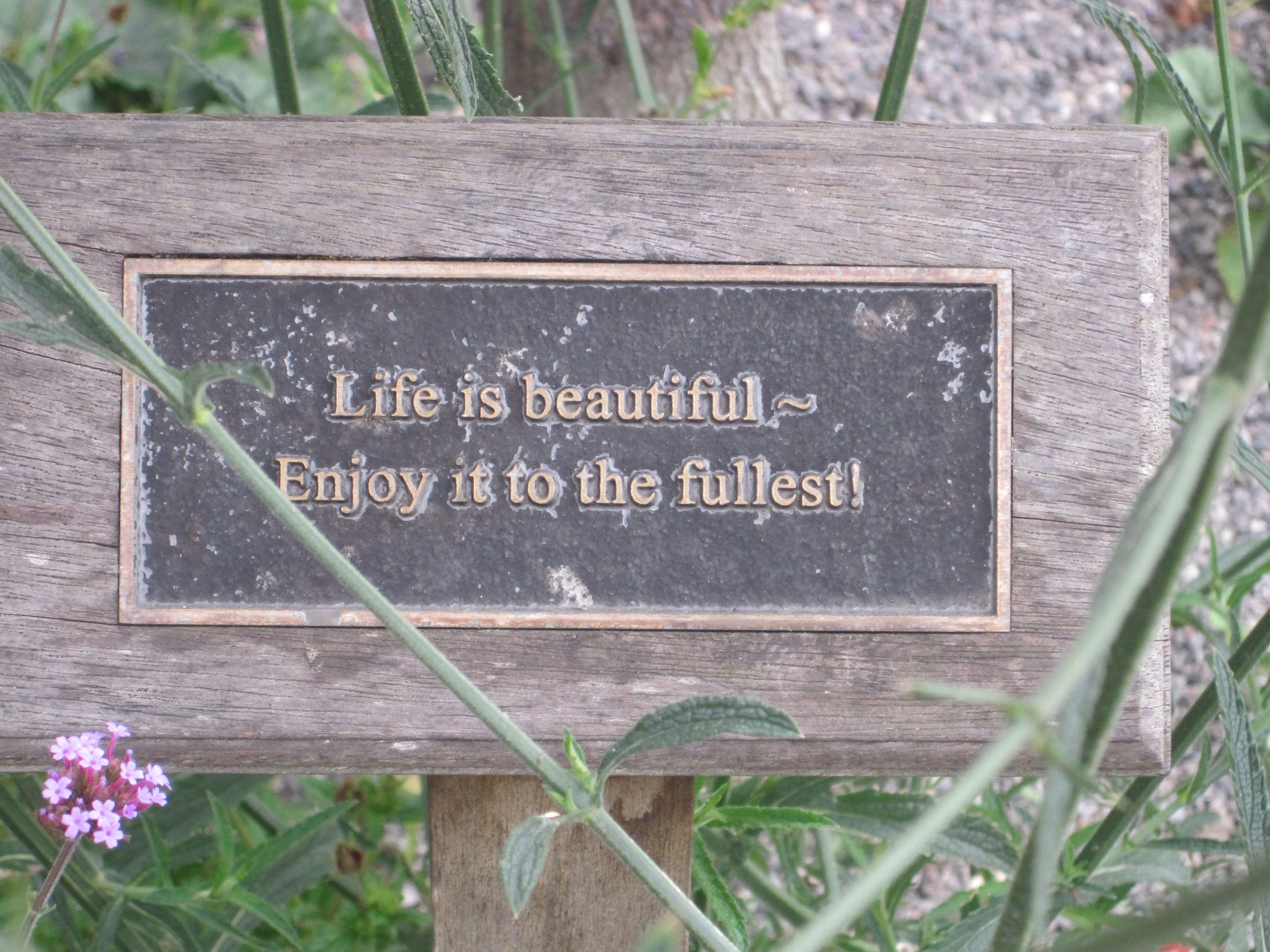 www.scavengerhunts.london - treasure found in kennington flower garden