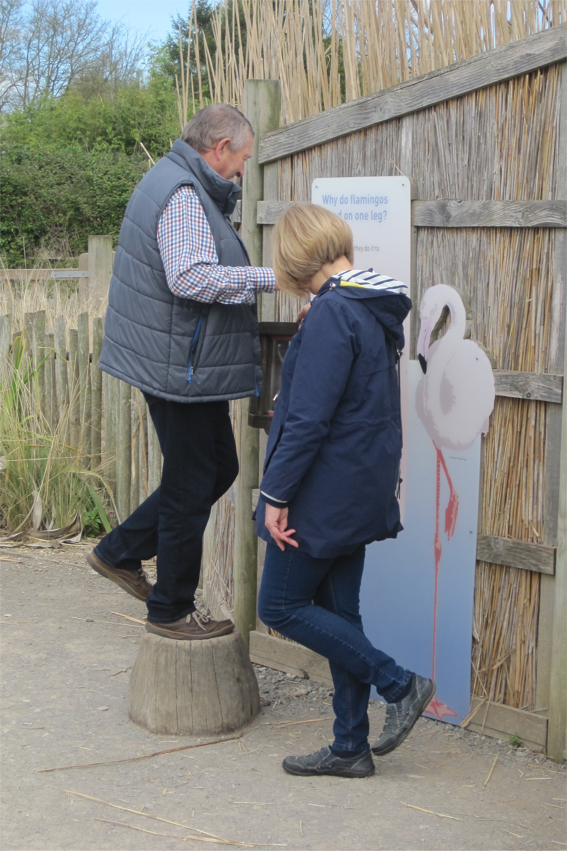 joining in the interactive activitiy