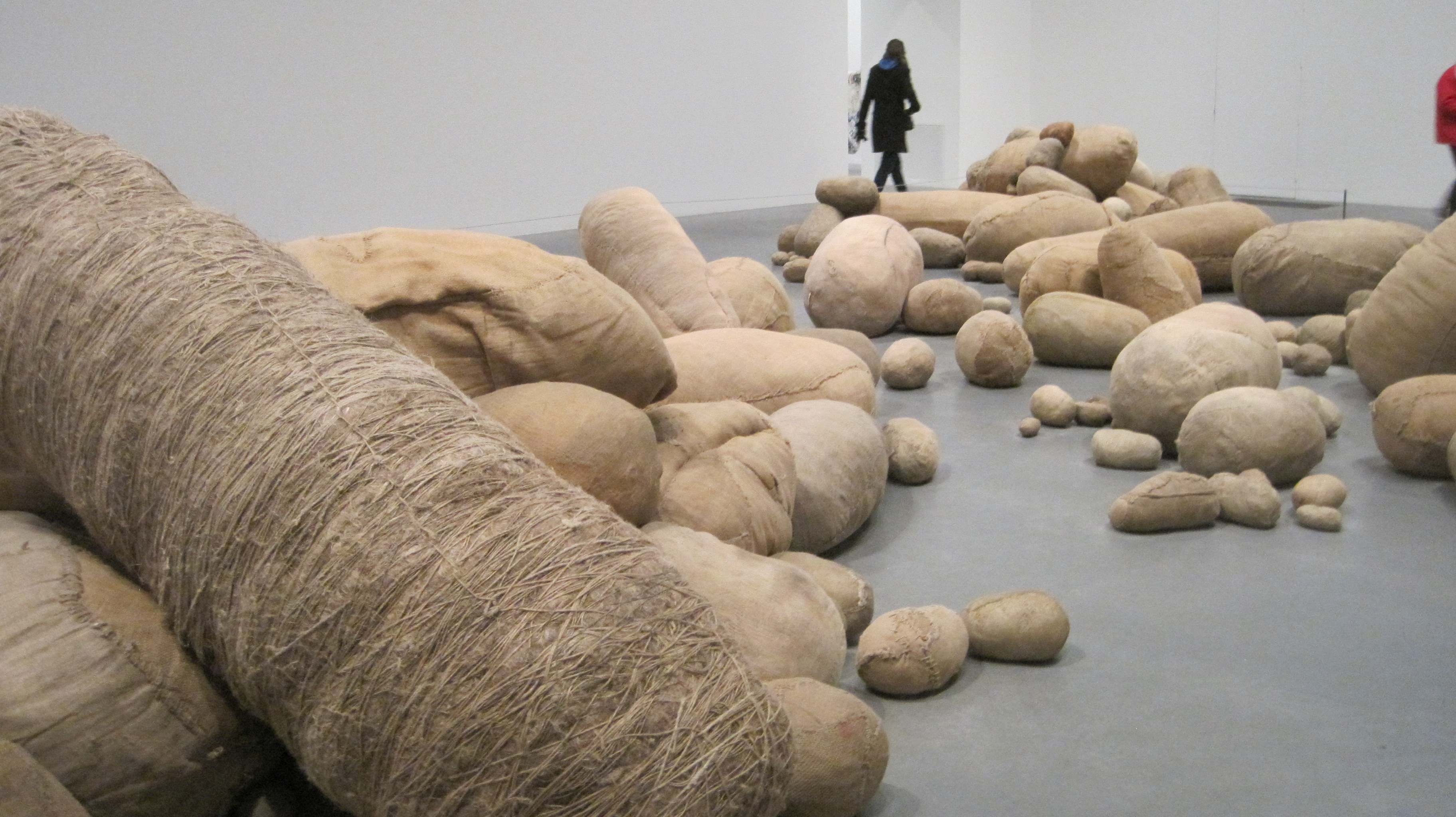 Magdalena Abakanowicz Embryology 1978–80; Embryology photo by Juliamaud