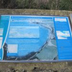 Kimmeridge Bay