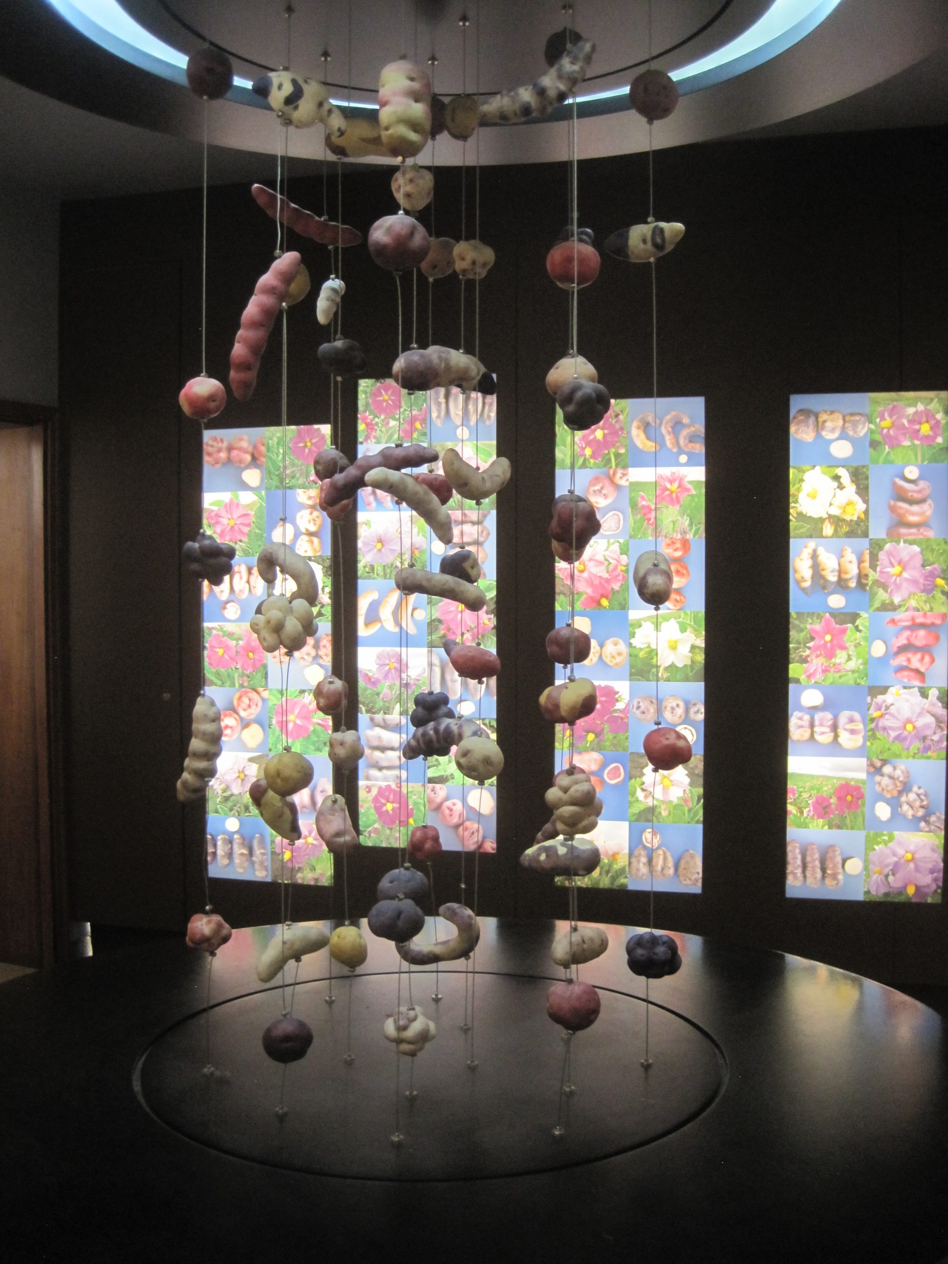 Potatoes at the Frietmuseum -photo by Juliamaud