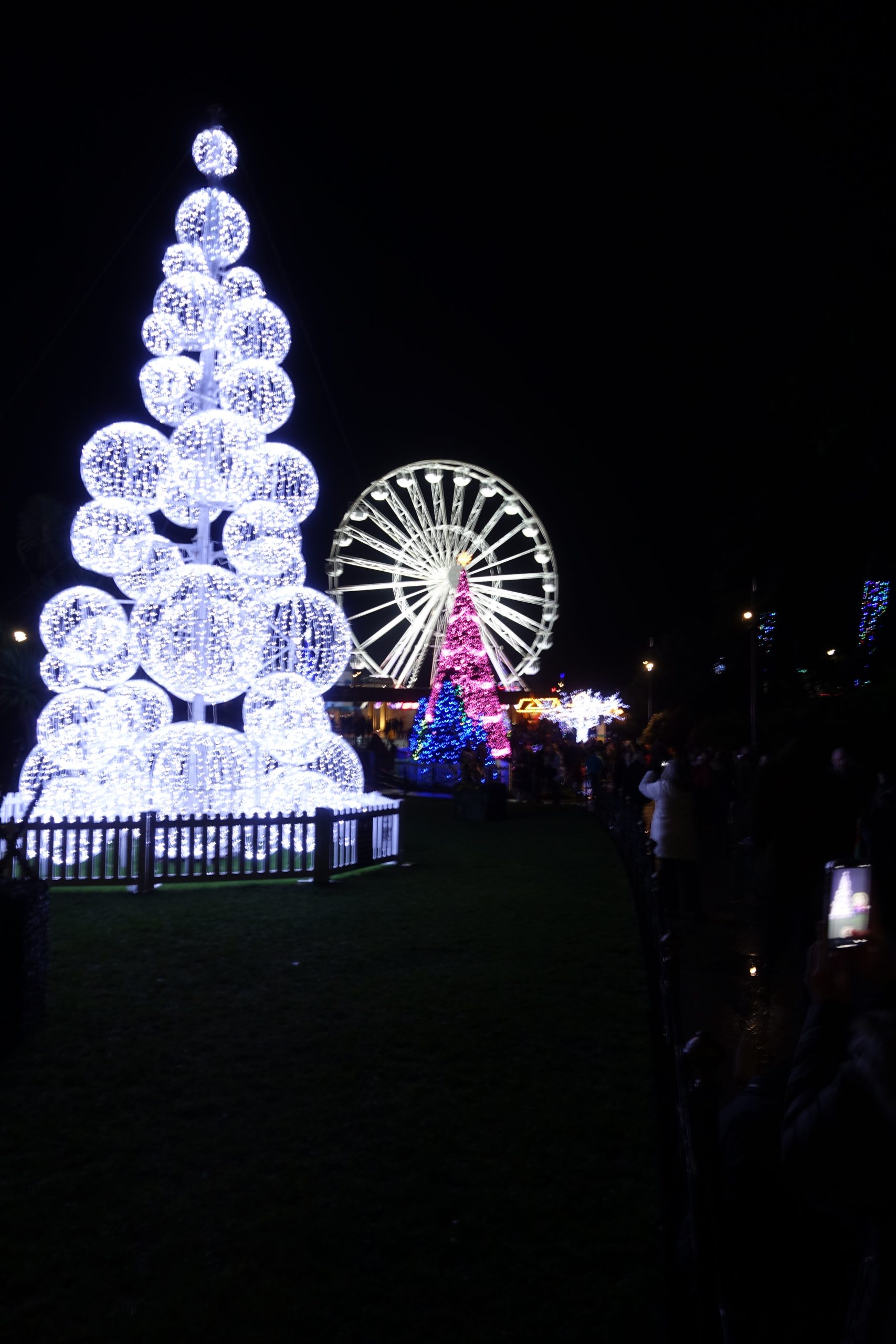 Bournemouth Christmas Tree Wonderland - photo by Juliamaud