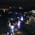 Bournemouth Christmas Tree Wonderland - photo by Juliamaud