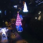 Bournemouth Christmas Tree Wonderland - photo by Juliamaud