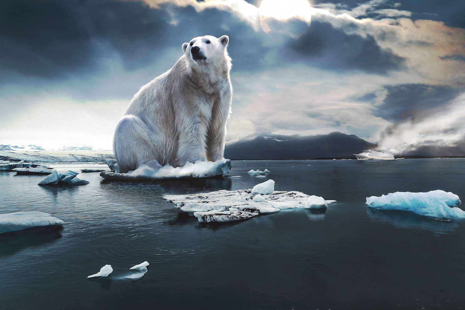 polar-bear by pixundfertig