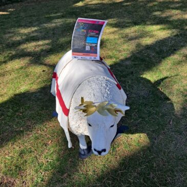 illuminated-sheep-in-Chesters-Fort.