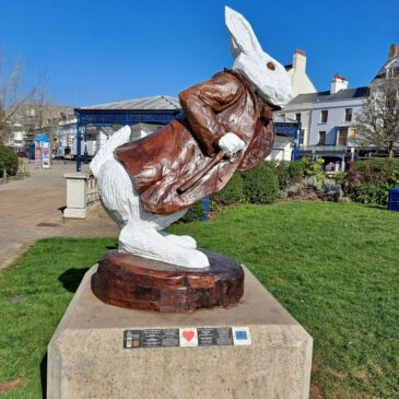 white rabbit in llandudno